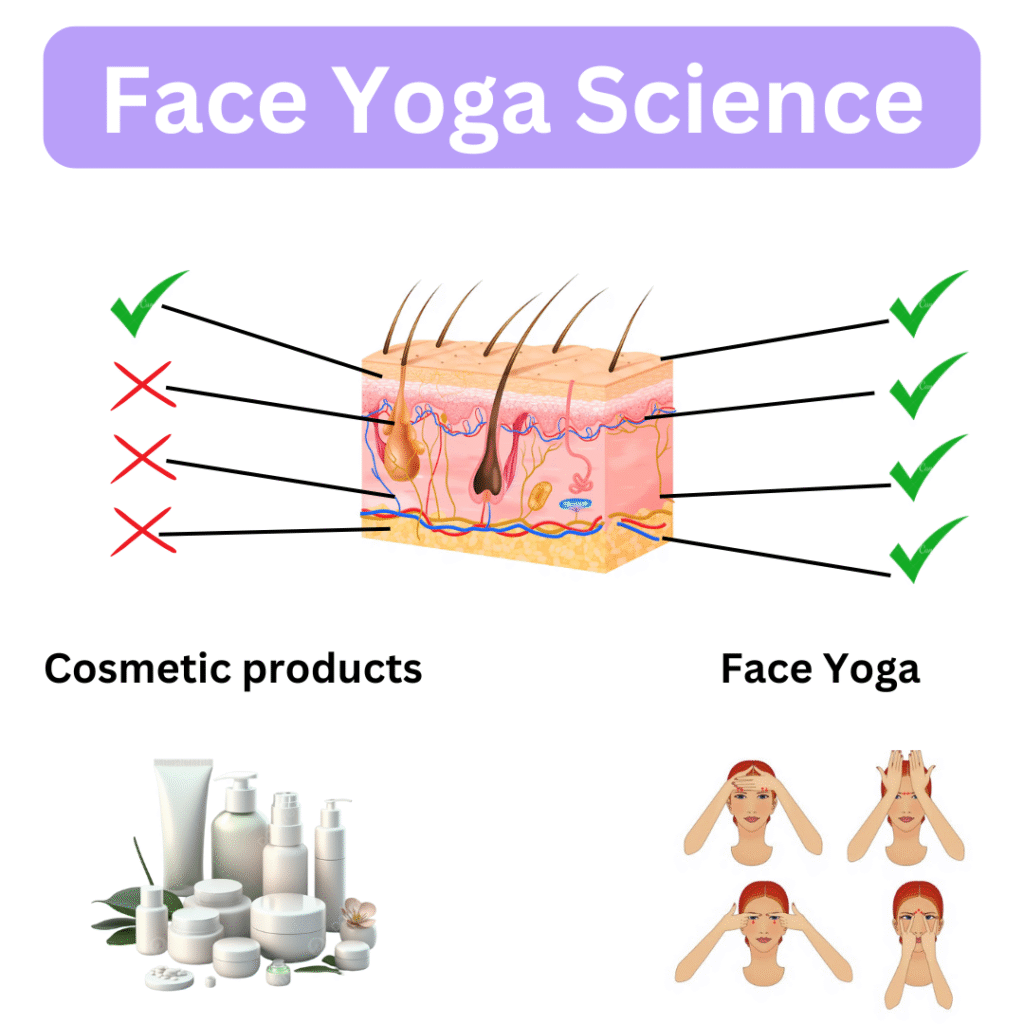 face yoga landing page (22)